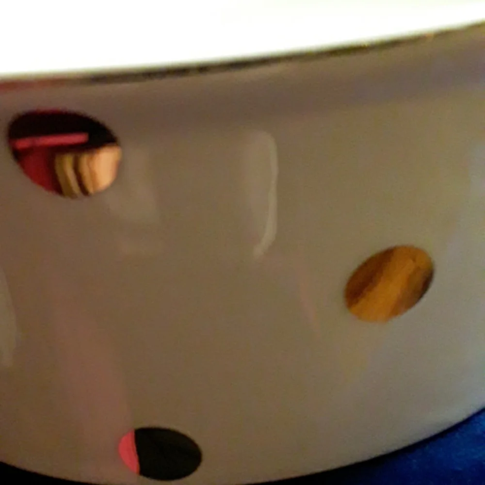 Dog bowl